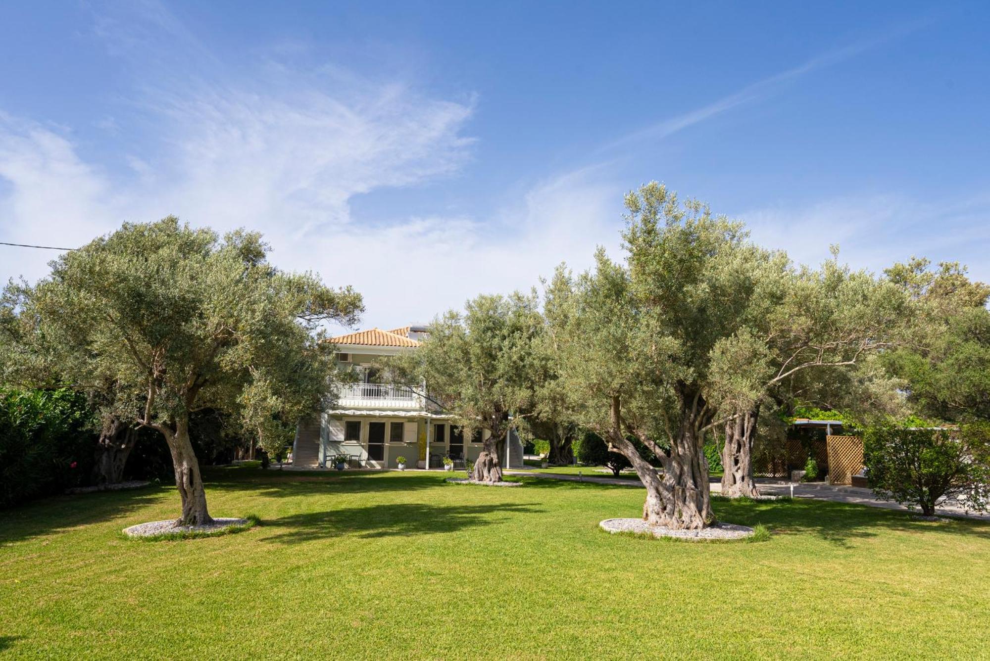 Elaia - Apartments & Studios Lefkada City Exterior photo