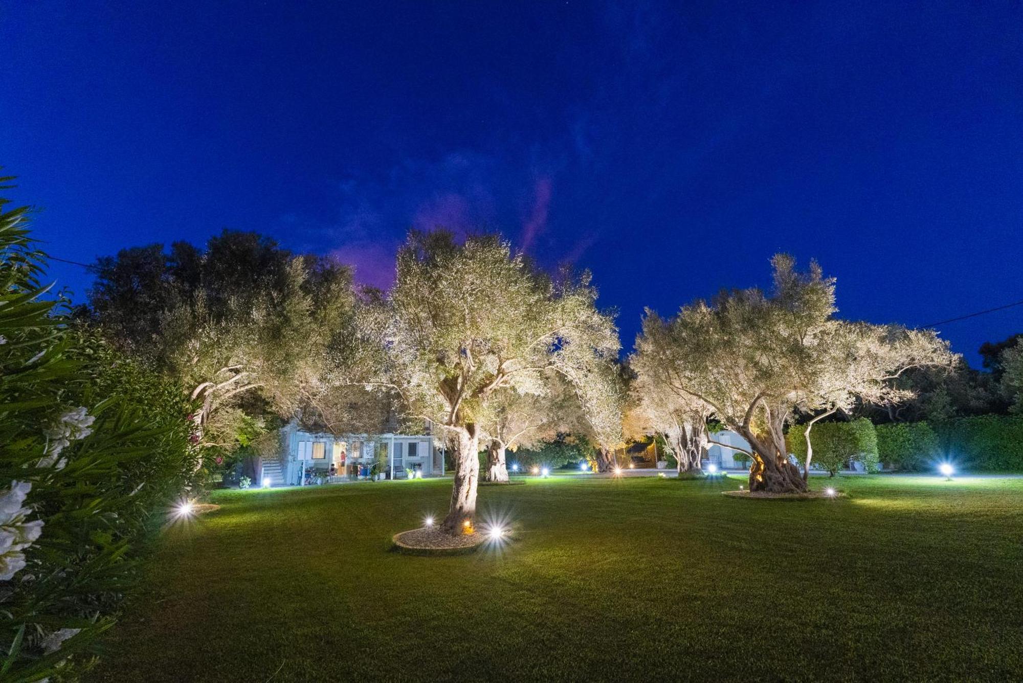 Elaia - Apartments & Studios Lefkada City Exterior photo